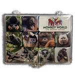FRIDGE MAGNET SET